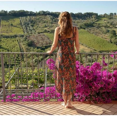 La Casa Di Stefania Διαμέρισμα Pollutri Εξωτερικό φωτογραφία