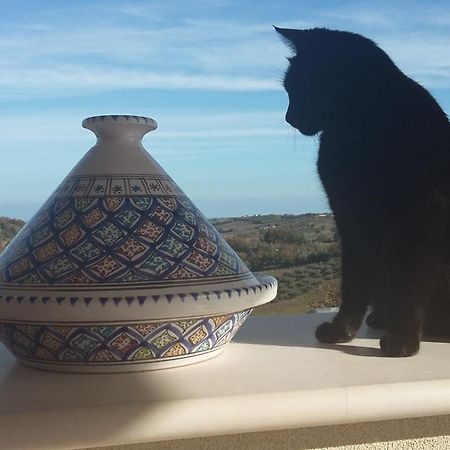 La Casa Di Stefania Διαμέρισμα Pollutri Εξωτερικό φωτογραφία