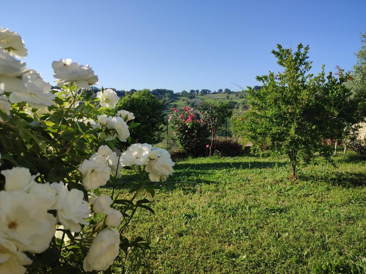La Casa Di Stefania Διαμέρισμα Pollutri Εξωτερικό φωτογραφία