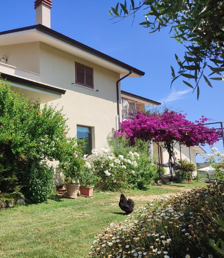 La Casa Di Stefania Διαμέρισμα Pollutri Εξωτερικό φωτογραφία
