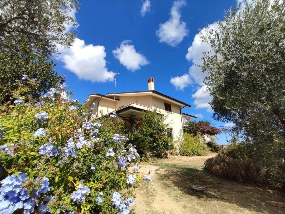 La Casa Di Stefania Διαμέρισμα Pollutri Εξωτερικό φωτογραφία