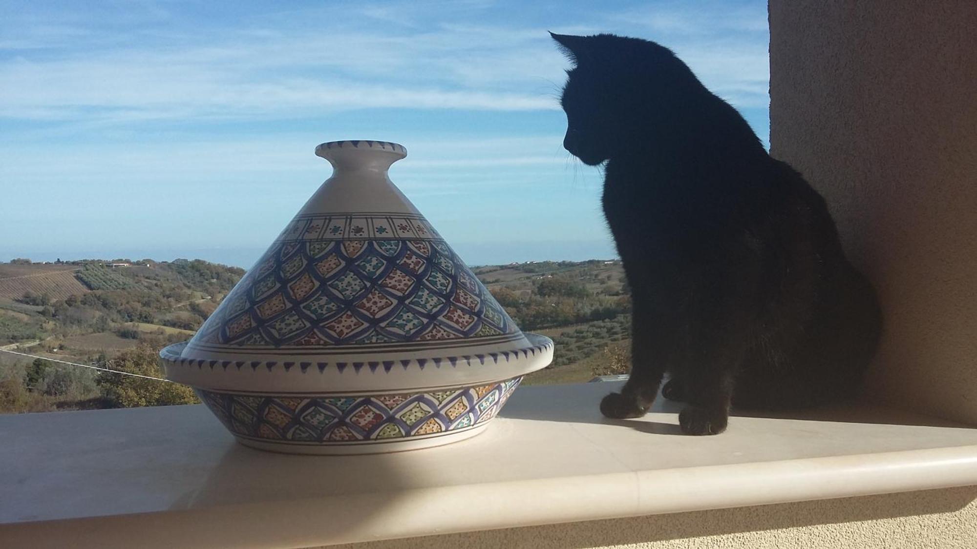 La Casa Di Stefania Διαμέρισμα Pollutri Εξωτερικό φωτογραφία