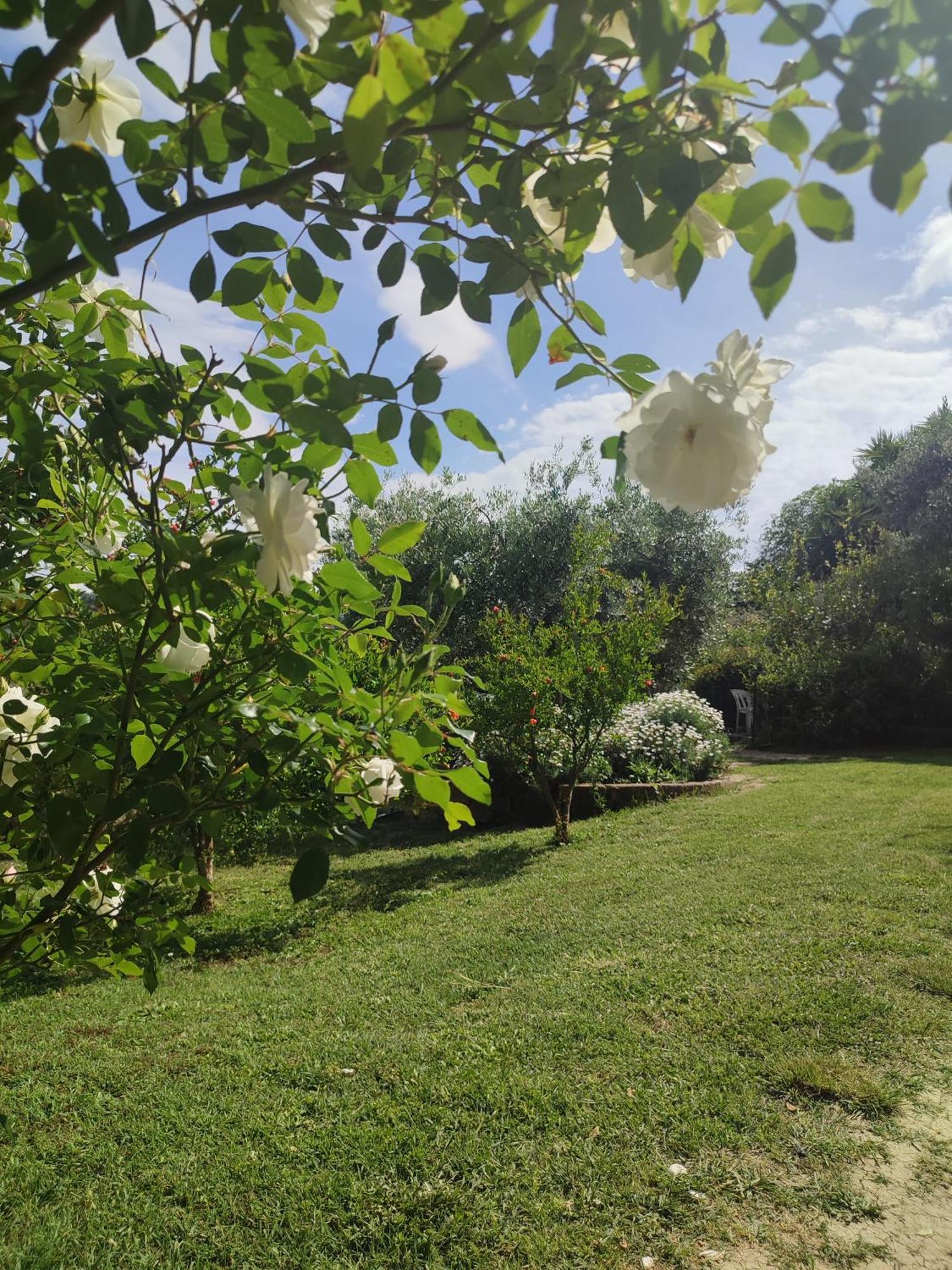 La Casa Di Stefania Διαμέρισμα Pollutri Εξωτερικό φωτογραφία