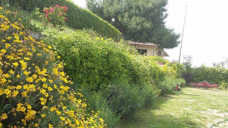 La Casa Di Stefania Διαμέρισμα Pollutri Εξωτερικό φωτογραφία