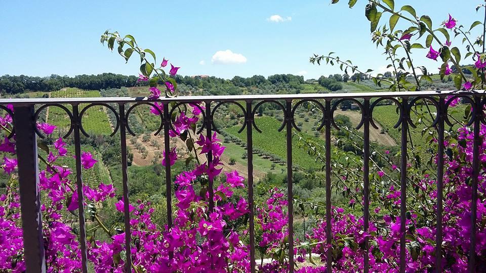La Casa Di Stefania Διαμέρισμα Pollutri Εξωτερικό φωτογραφία