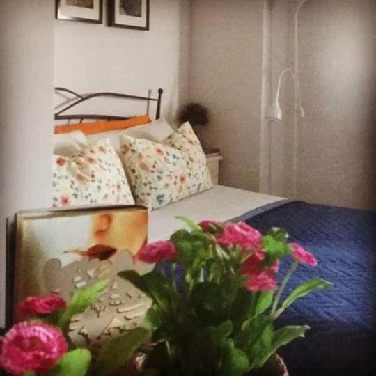 La Casa Di Stefania Διαμέρισμα Pollutri Εξωτερικό φωτογραφία